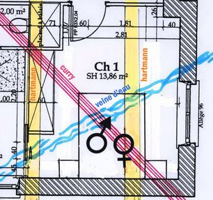 exemple de rseaux telluriques dans une chambre