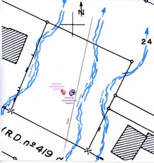 exemple d'tude de terrain, avec matrialisation des veines d'eau, d'une faille et des chemines cosmotelluriques