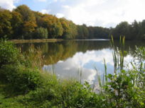 L'eau, lment incontournable des paysages du Sundgau