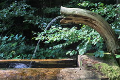 Fontaine au Heidenbad prs de Wildenstein (68)